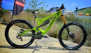 SEA OTTER - Pivot Phoenix Carbon 650b gioiello per la Dh