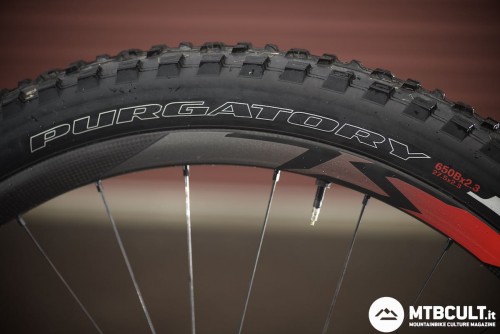 Doppia scelta per le gomme: al posteriore vediamo una Specialized Purgatory Control 2Bliss da 2,3", mentre davanti una Specialized Butcher Control 2Bliss da 2,3".