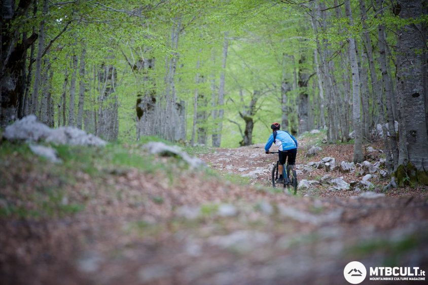 Canyon Grand Canyon Al Slx 9.9 Trail