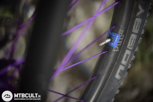 Lo Schwalbe Procore