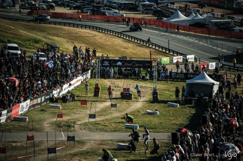 Sea otter classic