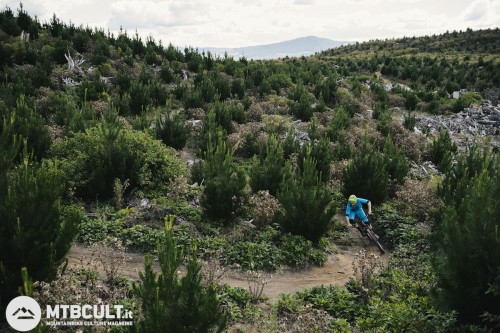 Il trail riding sale verso un livello superiore. A Rotorua,  Nuova Zelanda, scenari magnifici.