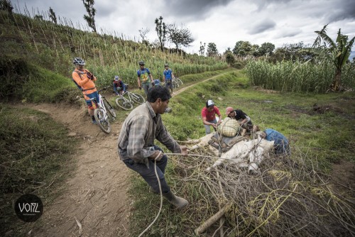 VS_Guatemala_Press_01.15_001