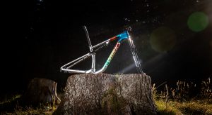 Specialized S-Works Epic World Championship LTD in 50 esemplari