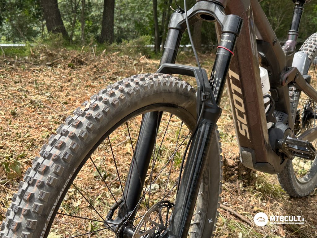 Schwalbe Albert