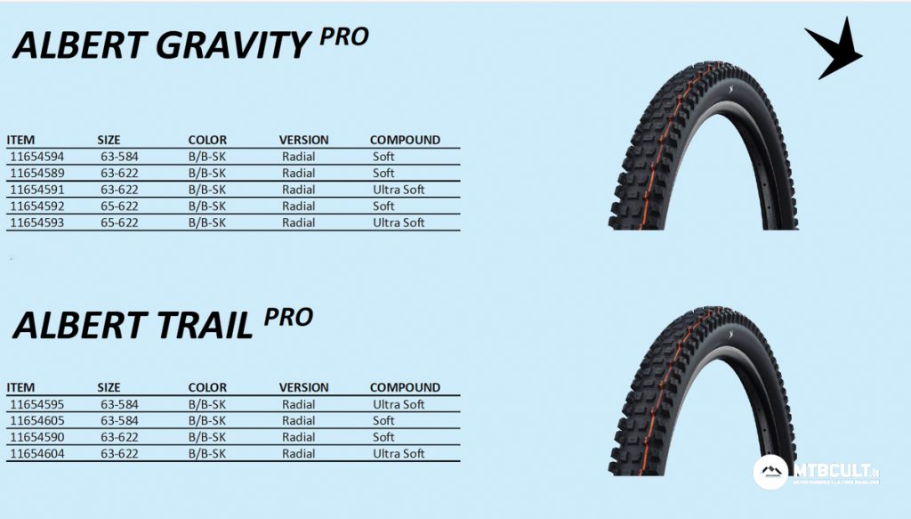 Schwalbe Albert