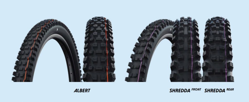 Schwalbe Albert