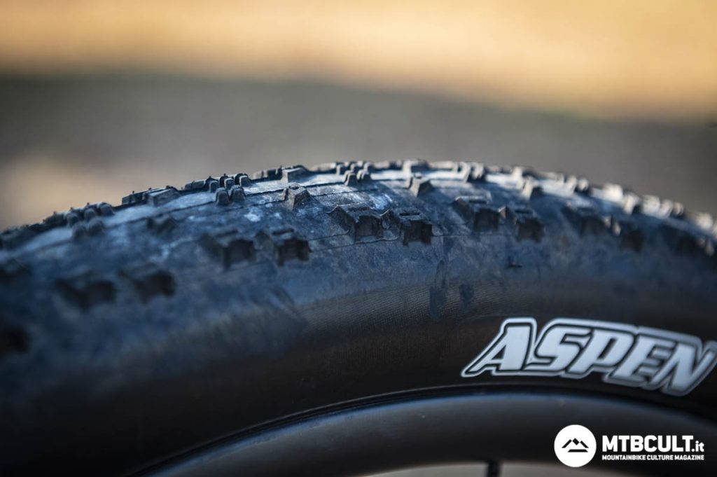 Maxxis Aspen da 170 TPI