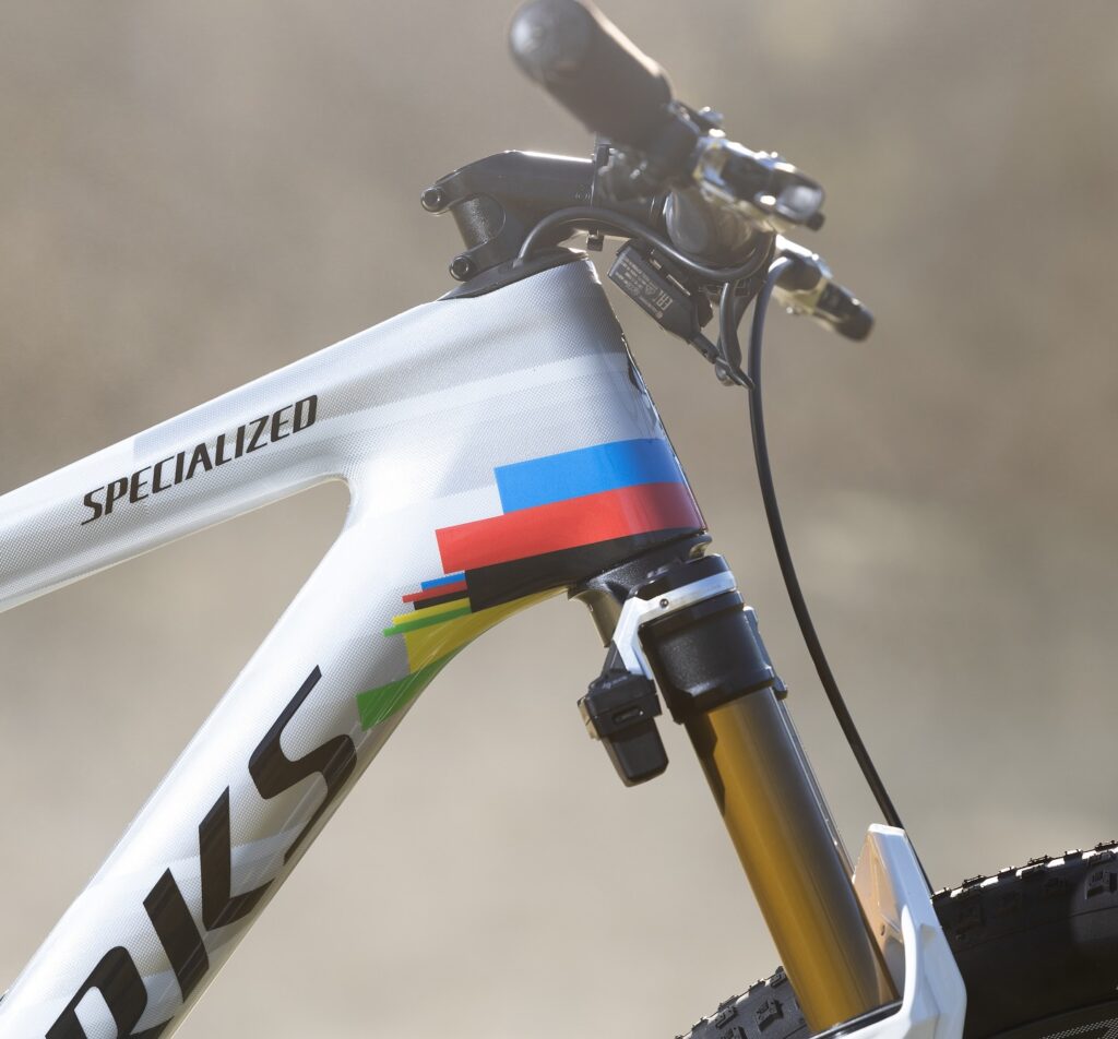 Specialized Epic 8 iridata di Victor Koretzky