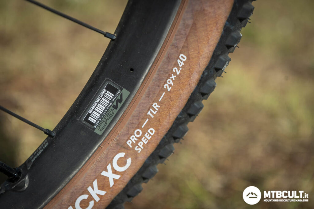 Schwalbe Rick XC Pro