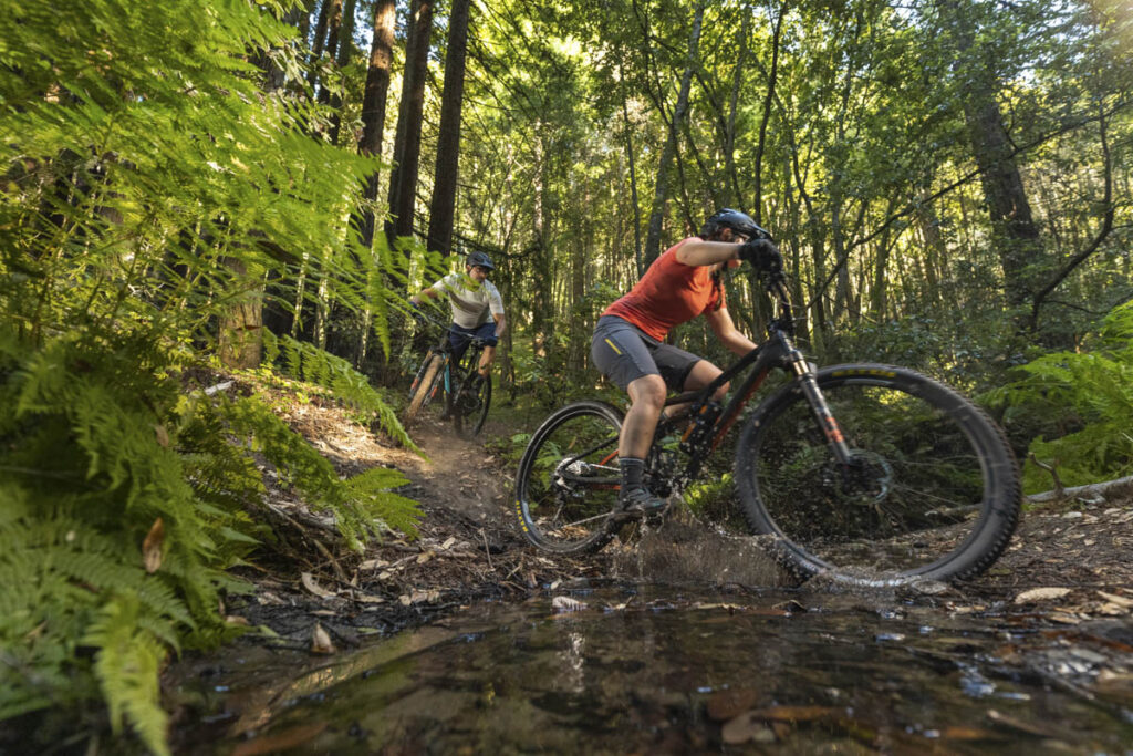 Le Mtb da Xc non sono più solo per le gare